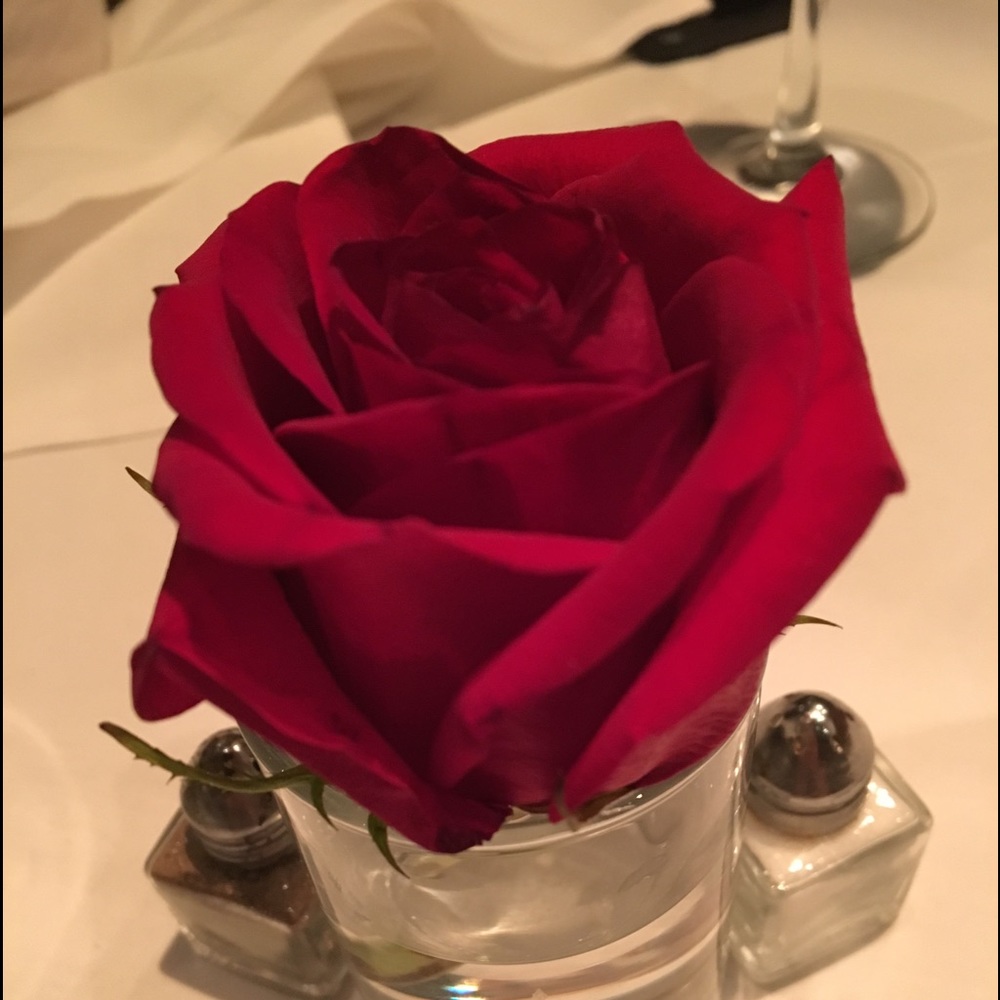 Meet your Posher, Jill